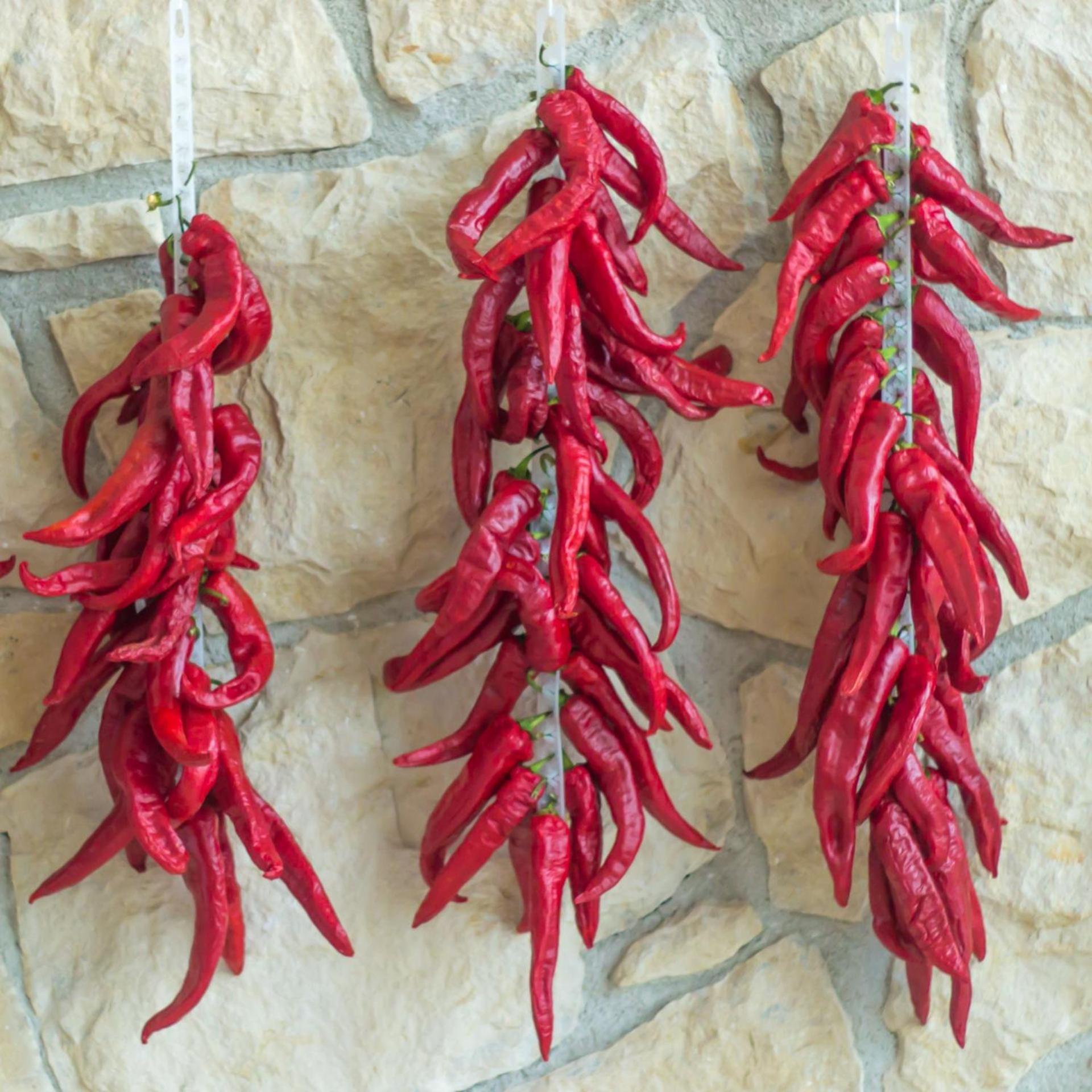 Roccamorice Terrae Eremis: Ristorante, Bar, B&B المظهر الخارجي الصورة
